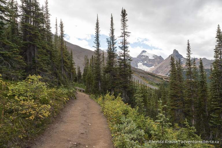 Parker Ridge Hike- Guide to Hiking Parker Ridge Trail in Banff