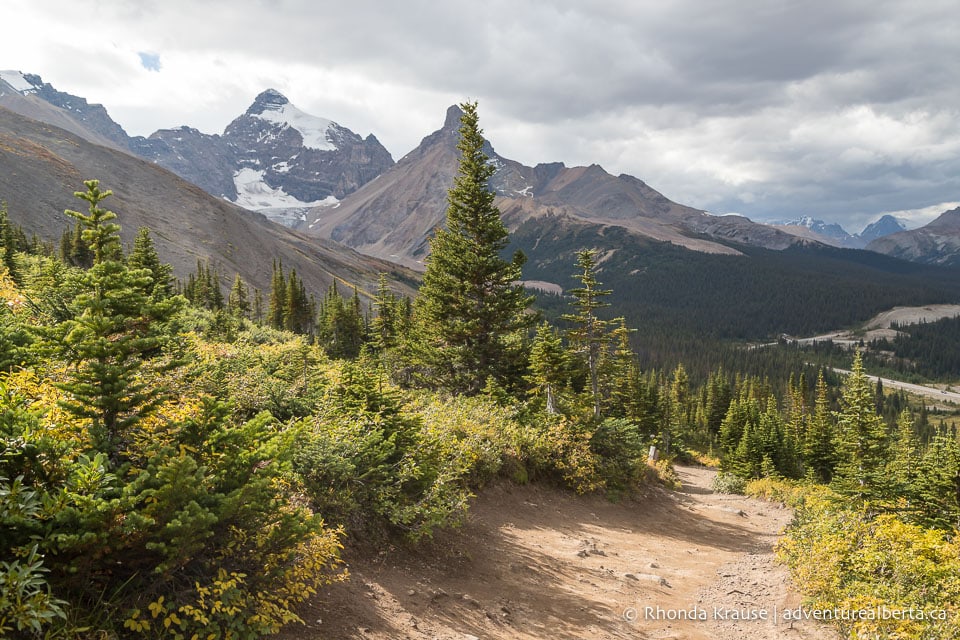 Parker Ridge Hike- Guide To Hiking Parker Ridge Trail In Banff