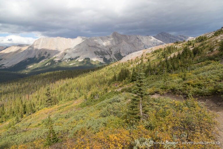 Parker Ridge Hike- Guide to Hiking Parker Ridge Trail in Banff