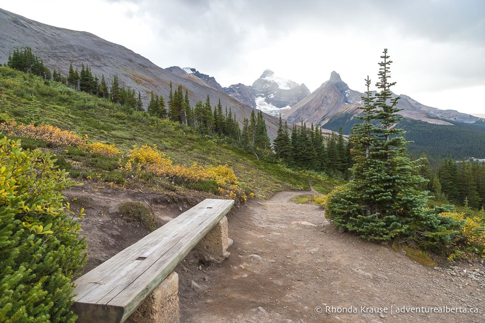 Parker Ridge Hike- Guide to Hiking Parker Ridge Trail in Banff