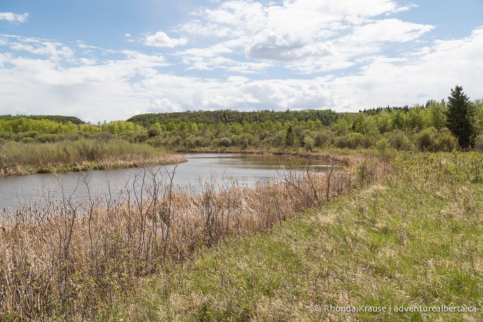 Big Knife Provincial Park- Activity and Visitor Guide