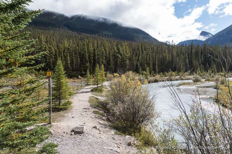 Beauty Creek Hike to Stanley Falls- Guide to Hiking Beauty Creek Trail