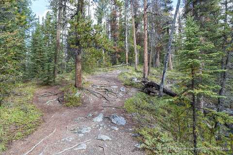 Beauty Creek Hike to Stanley Falls- Guide to Hiking Beauty Creek Trail