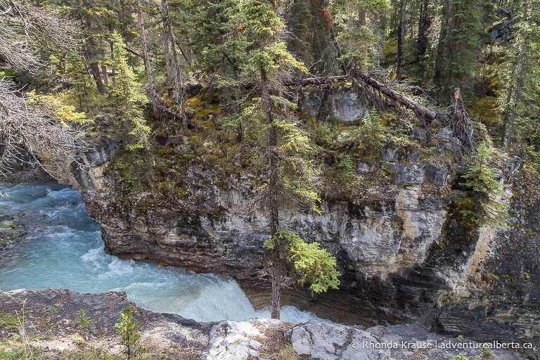 Beauty Creek Hike to Stanley Falls- Guide to Hiking Beauty Creek Trail