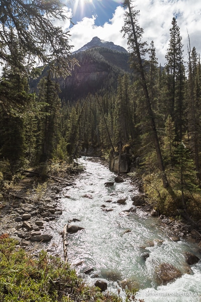 Beauty Creek Hike To Stanley Falls- Guide To Hiking Beauty Creek Trail