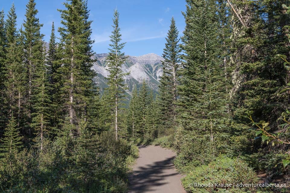 Goat Creek Trail- Bike Canmore to Banff on This Scenic Route