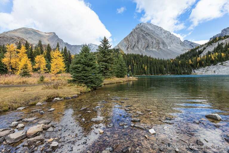 Larch Hikes in Kananaskis- Best Trails to See Golden Larch Trees in Fall