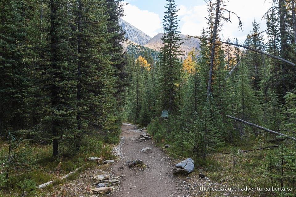 Chester Lake Hike- Guide to Hiking Chester Lake Trail in Kananaskis