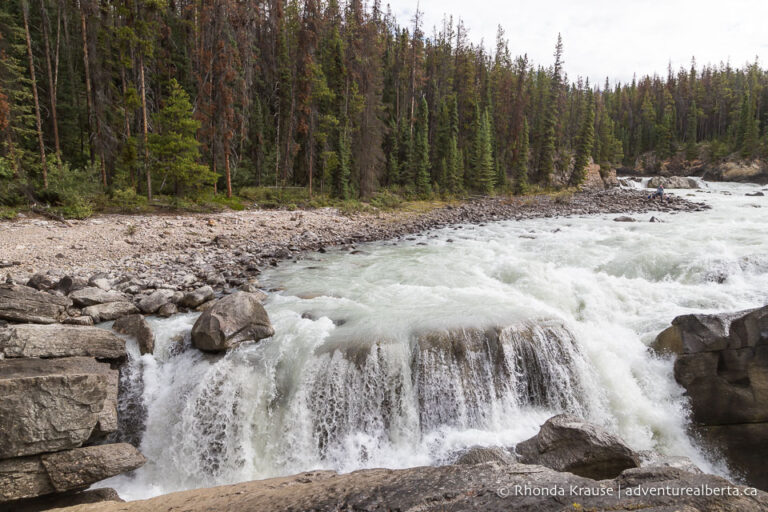 Sunwapta Falls Hike- Guide to Hiking Sunwapta Falls Trail