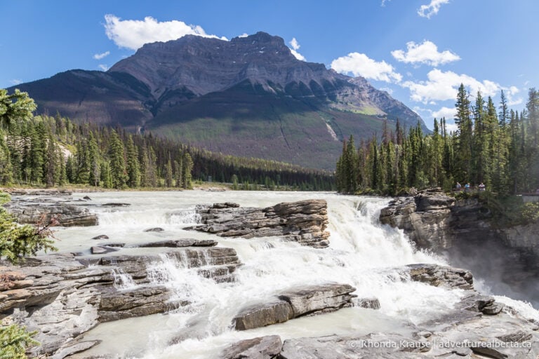 Athabasca Falls- How to Visit Athabasca Falls in Jasper National Park