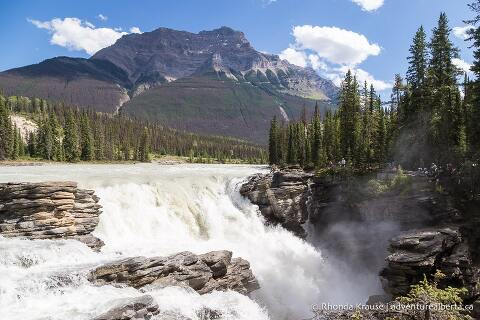 Athabasca Falls- How to Visit Athabasca Falls in Jasper National Park