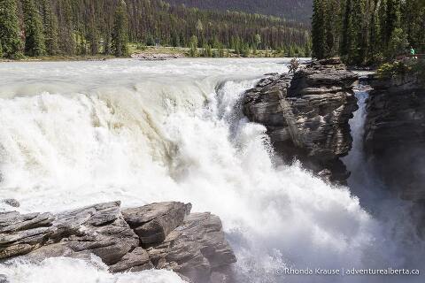 Athabasca Falls- How to Visit Athabasca Falls in Jasper National Park