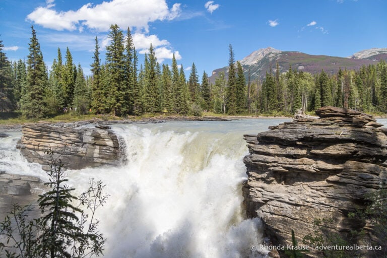 Athabasca Falls- How to Visit Athabasca Falls in Jasper National Park