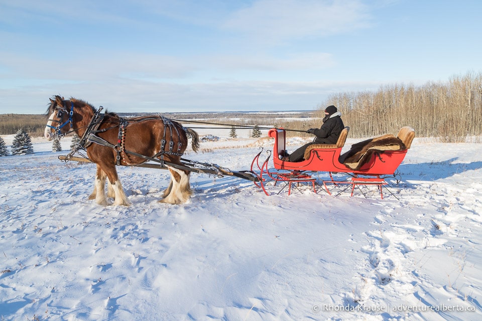 Pigeon Lake Things To Do In Winter- Pigeon Lake Activities For Winter Fun