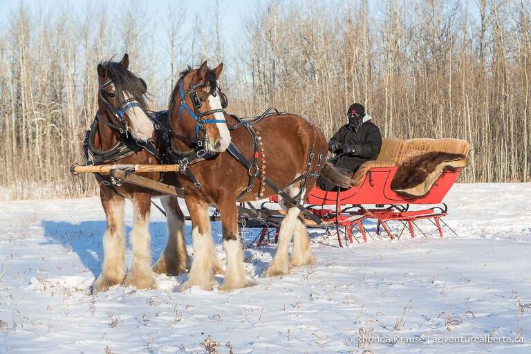 Pigeon Lake Things to Do in Winter- Pigeon Lake Activities for Winter Fun