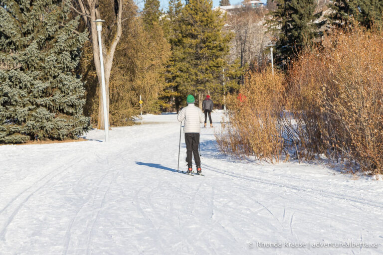 Cross Country Skiing in Edmonton- Where to Find Cross Country Ski Trails