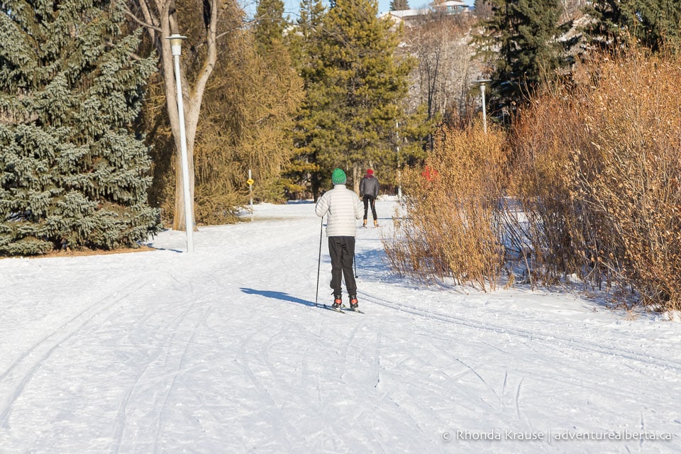 Cross Country Skiing in Edmonton Where to Find Cross Country Ski Trails