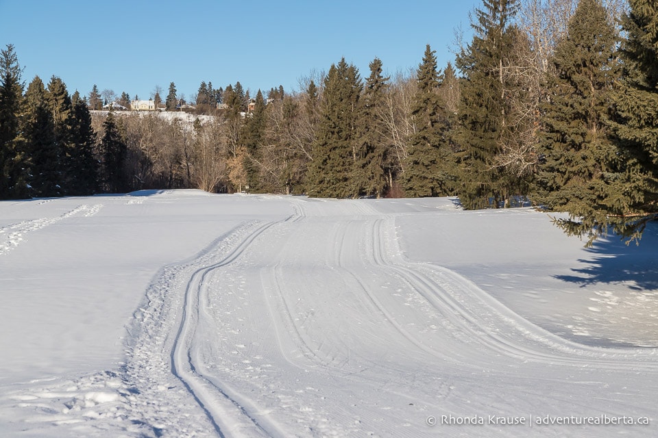 Cross Country Skiing in Edmonton Where to Find Cross Country Ski Trails