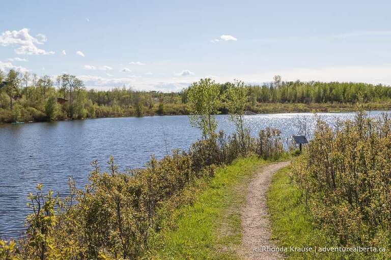 Trail beside a pond at Miquelon Lake.