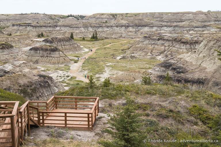 Viewpoint overlooking Horseshoe Canyon near Drumheller.