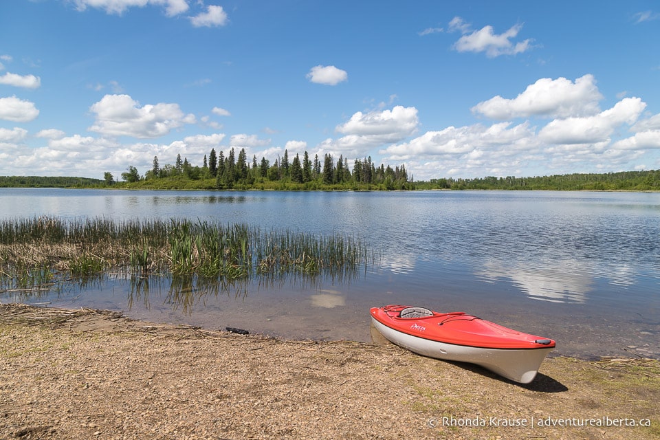 day trip edmonton