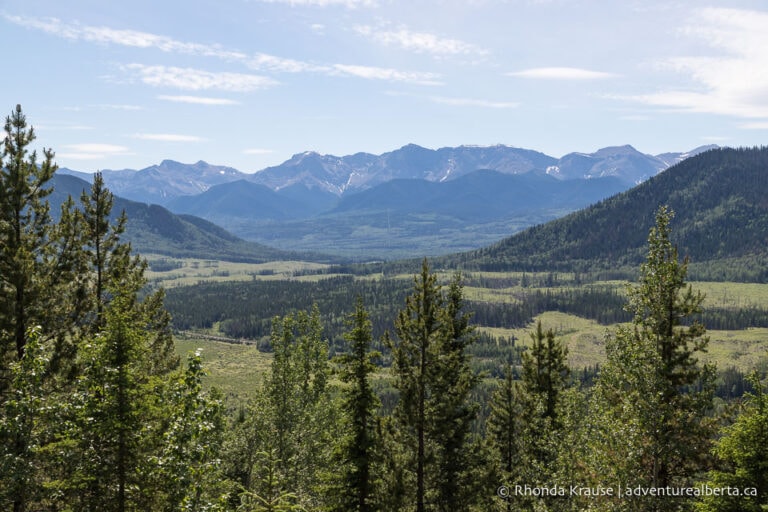 Athabasca Lookout Hike- Guide to Hiking Athabasca Lookout Trail