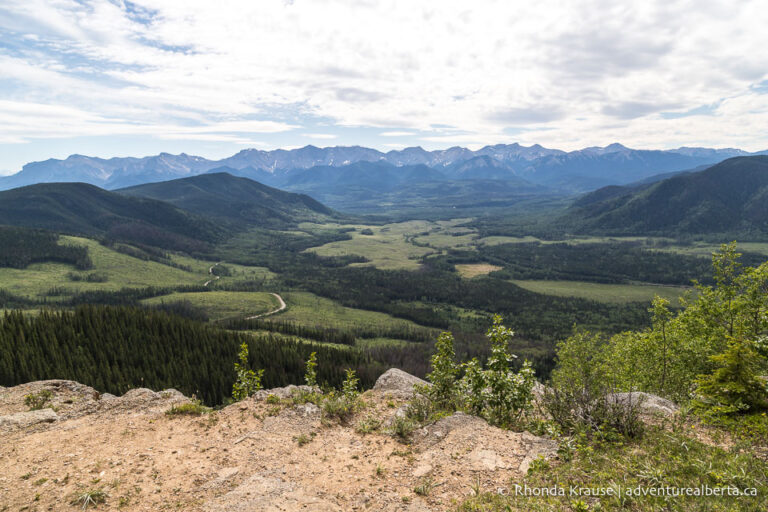 Athabasca Lookout Hike- Guide to Hiking Athabasca Lookout Trail