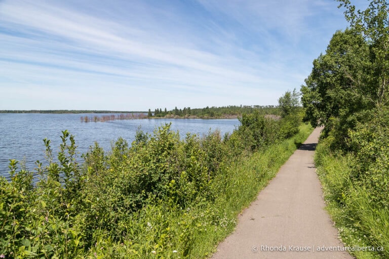 Elk Island National Park Hiking Guide- Elk Island Trails and Hikes