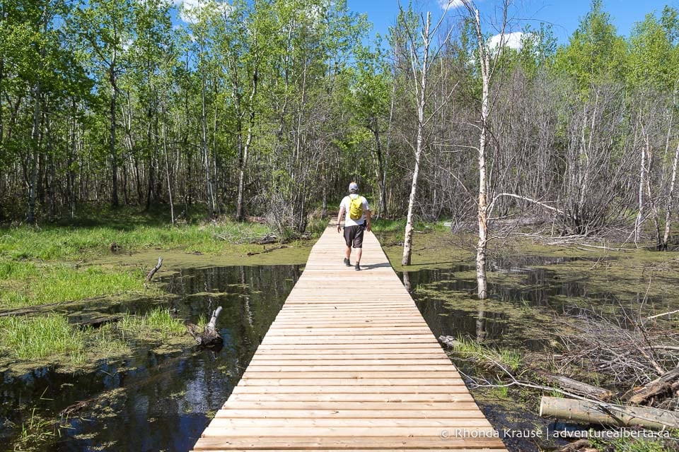 Elk Island National Park Hiking Guide Elk Island Trails and Hikes