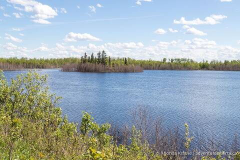 Elk Island National Park Hiking Guide- Elk Island Trails and Hikes