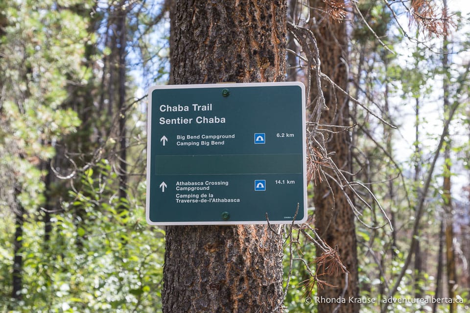 Big Bend Hike- Guide to Hiking Chaba Trail to Big Bend in Jasper