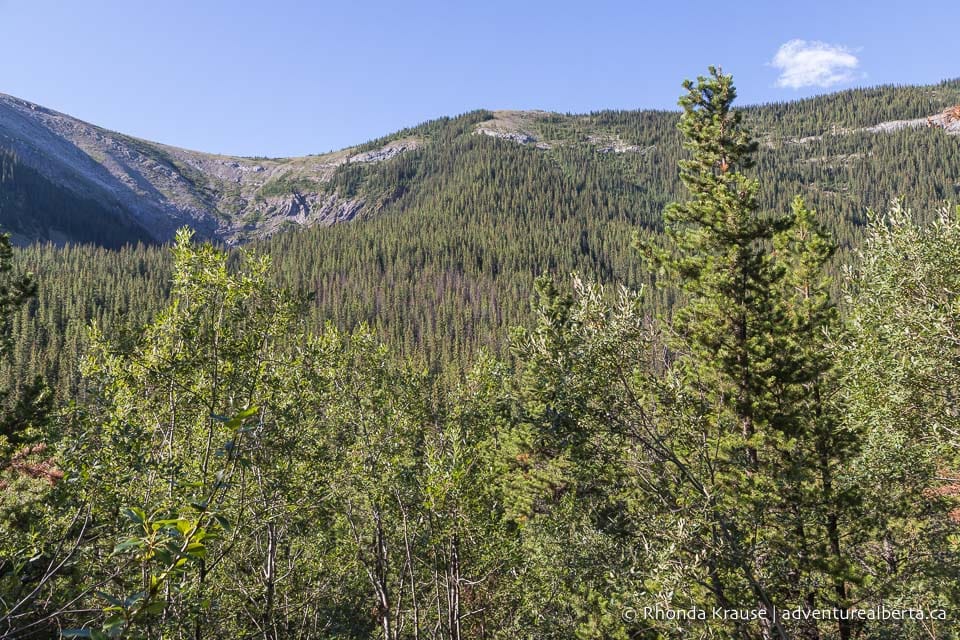 Sulphur Skyline Hike- Guide to Hiking Sulphur Skyline Trail