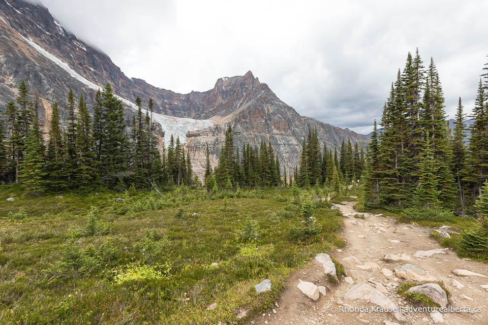 Day Hikes in Jasper National Park- Best Jasper Trails for Day Hikes