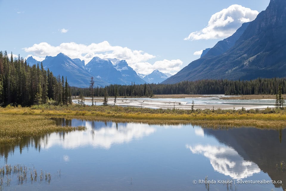 Day Hikes in Jasper National Park- Best Jasper Trails for Day Hikes